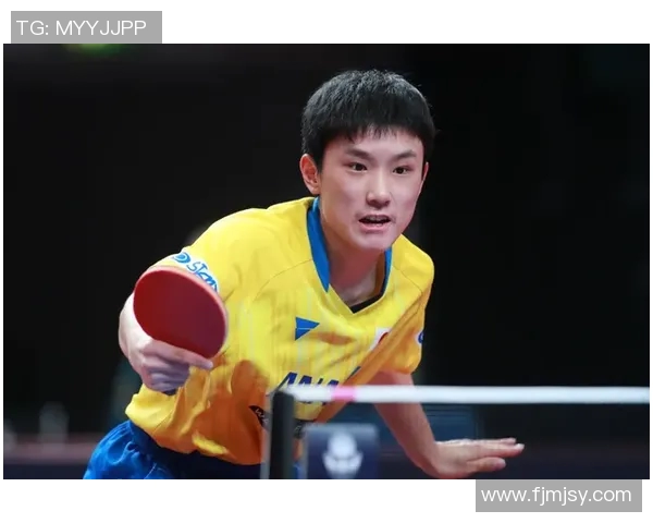 南京乒乓球队运营分析:成就与挑战并存的竞技之路 南京乒乓球队运营分析:成就与挑战并存的竞技之路