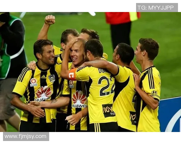 加的夫与纽卡斯尔对决前瞻分析及胜负预测 加的夫与纽卡斯尔对决前瞻分析及胜负预测